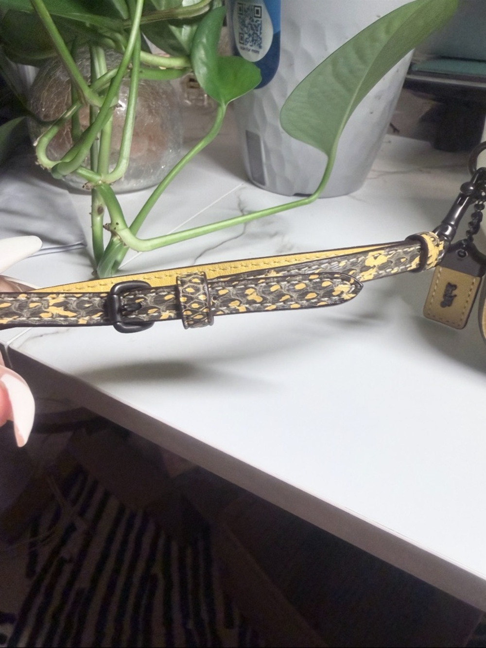 COACH HAY YELLOW/COLORBLOCK EXOTIC SNAKESKIN CLUTCH - Picture 2 of 8